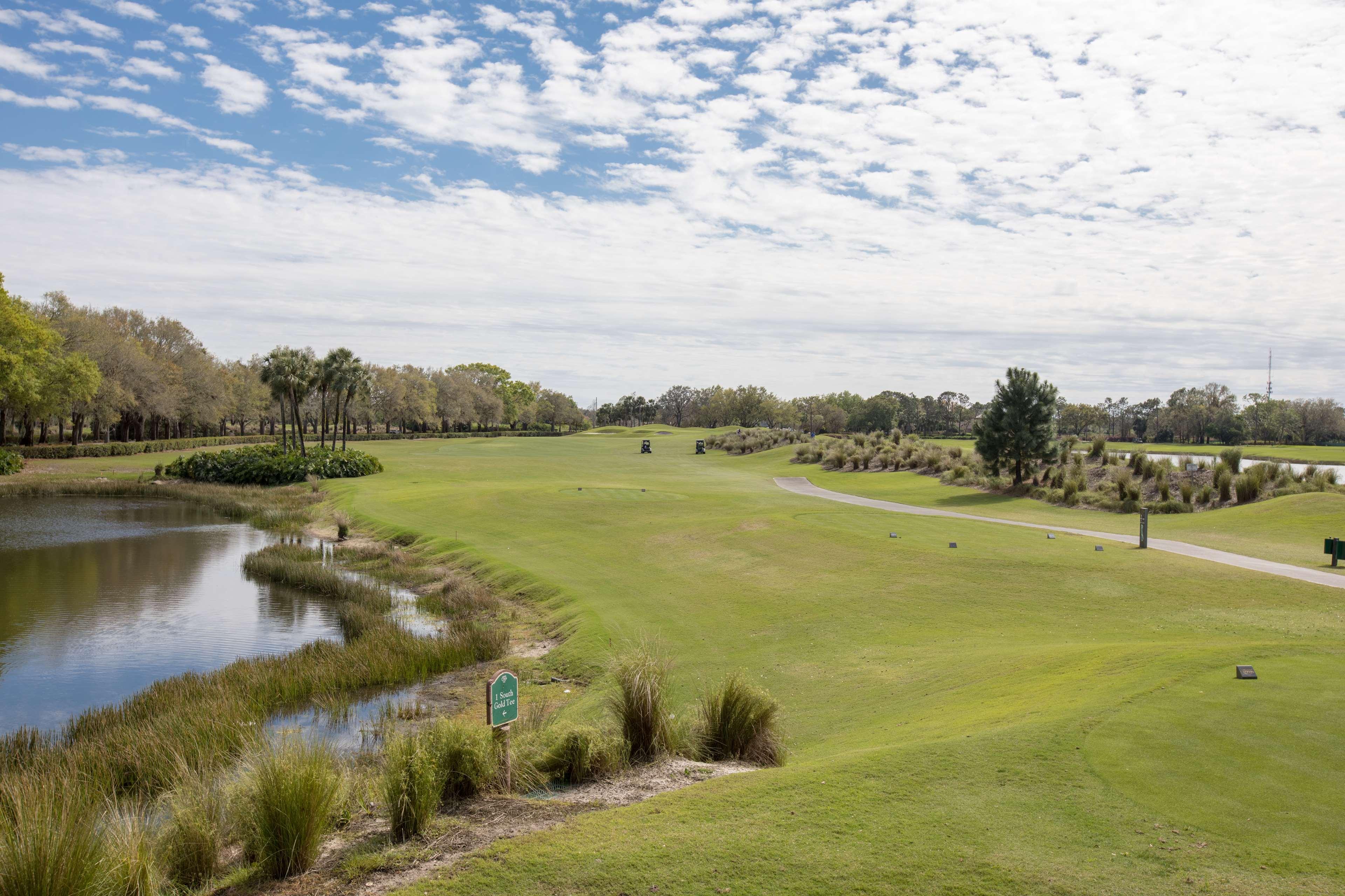 Resort Conrad Orlando
